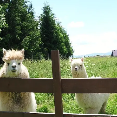 Apartament Dwór Pan Tadeusz *