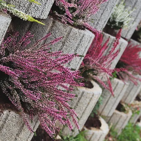 Apartament Dwór Pan Tadeusz