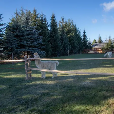 Apartment Dwor Pan Tadeusz Orawka