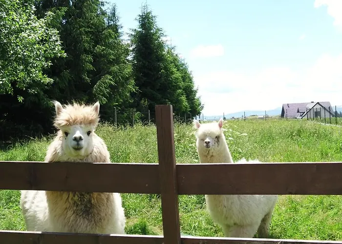 Apartament Dwór Pan Tadeusz *