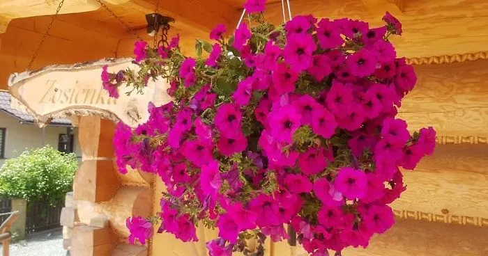 Dwór Pan Tadeusz * Orawka