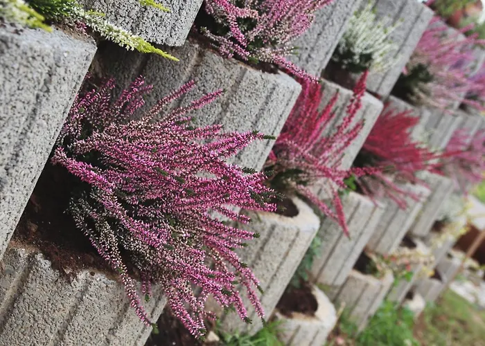 Apartament Dwór Pan Tadeusz