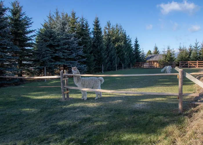 Lejlighed Dwor Pan Tadeusz Orawka