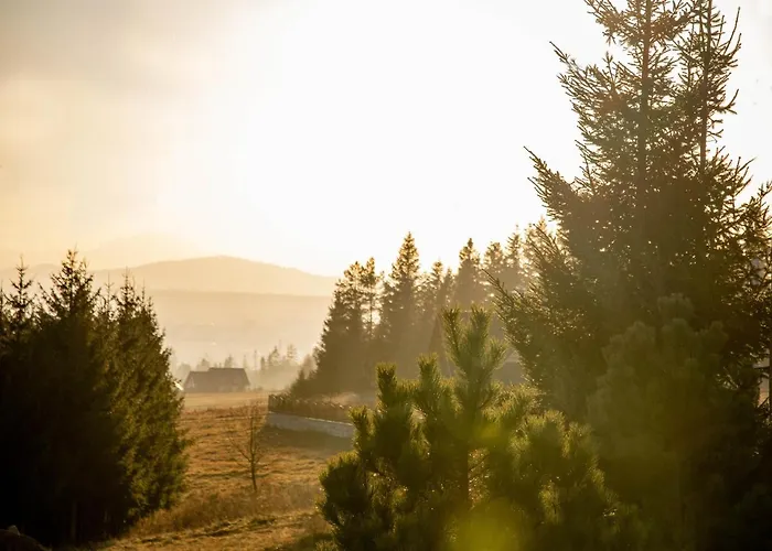 Dwór Pan Tadeusz Apartament Orawka