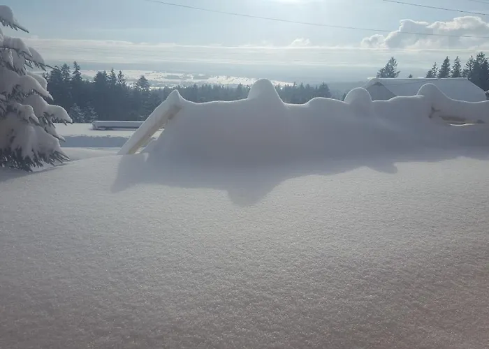 Apartament Dwór Pan Tadeusz